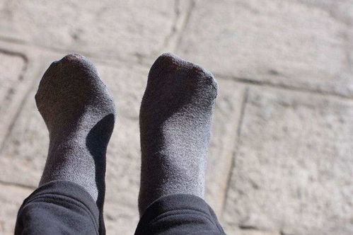 關于蚊子的5個冷知識,臭襪子居然會讓其失去理智